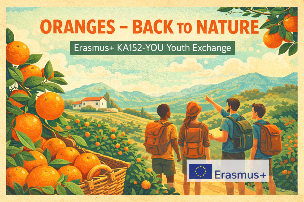 Oranges – Back to Nature